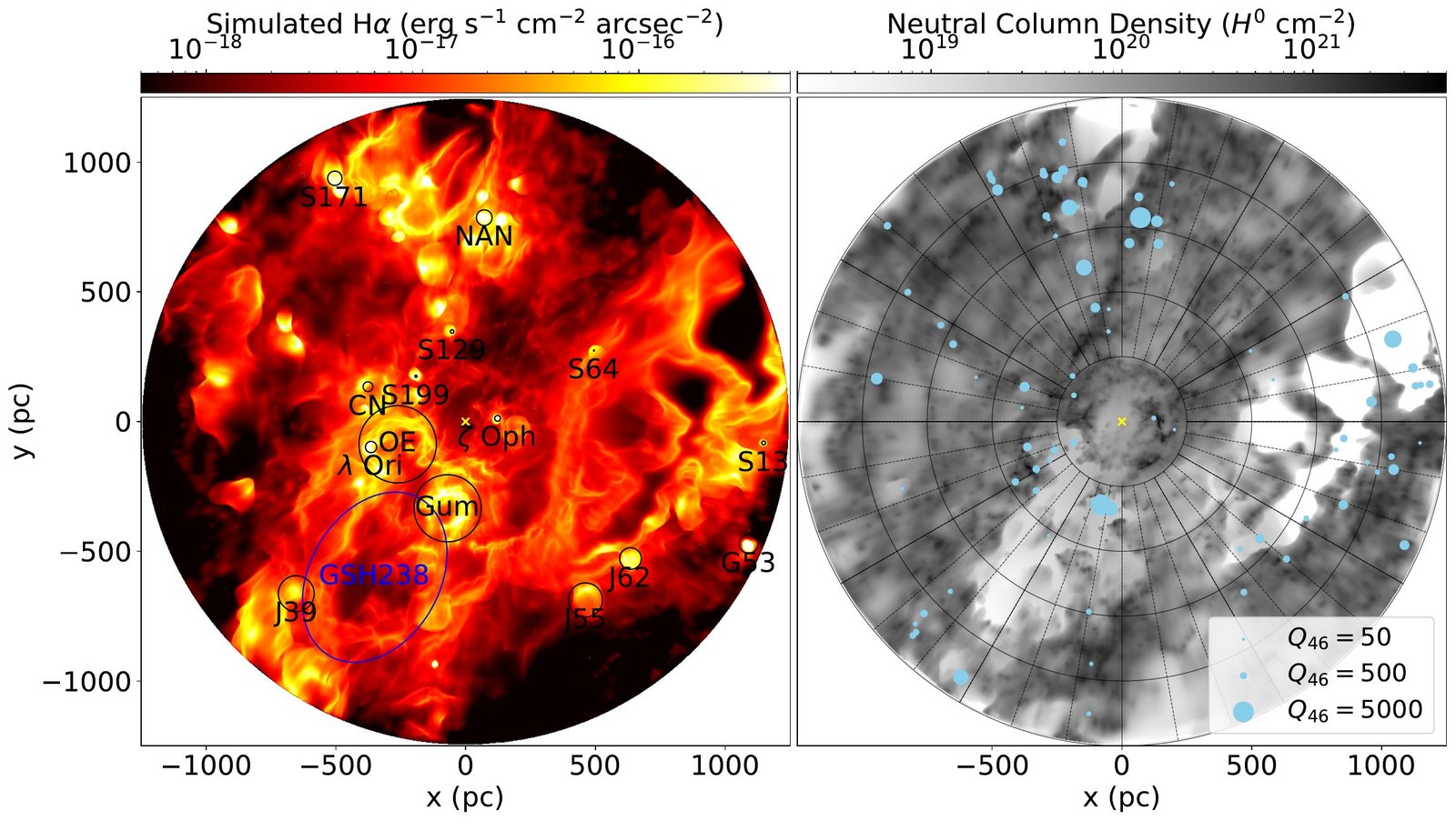 Top-down simulated H alpha and neutral hydrogen maps around the Sun